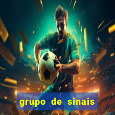 grupo de sinais trader telegram